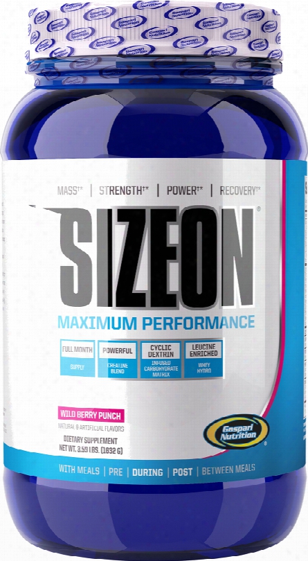 Gaspari Nu Trition Sizeon Maximum Performance - 24 Servings Wild Berry