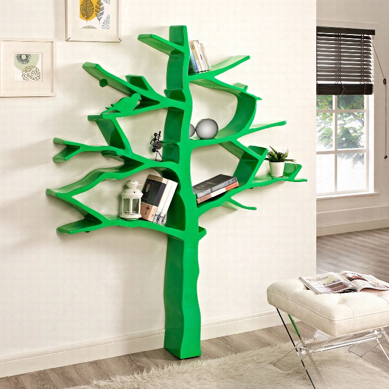 Knowledge Bookcase In Green