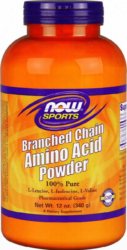 Now Foods Branched Chain Amino Acid Powder - 340g