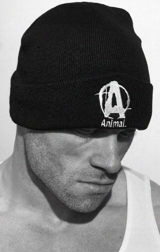 Universal Clotihng & Gear Animal Beanie - 1 Size Fits Most Black