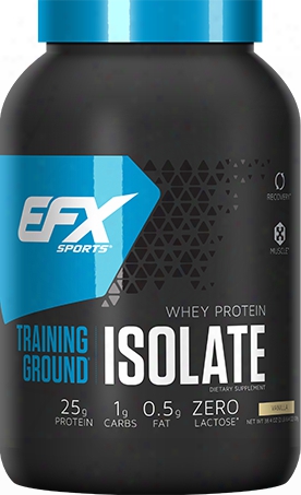 Efx Sports Training Ground Isolate - 2.4lbs Chocolate