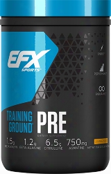 Efx Sports Training Ground Pre - 20 Servings Blueberry