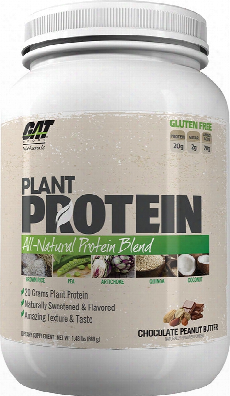 Gat Sport Plant Protein - 20 Servings Chocolate Peanut Butter