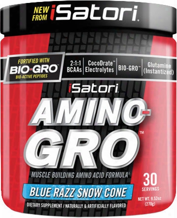 Isatori Amino-gro - 30 Servings Blue Razz Snow Cone