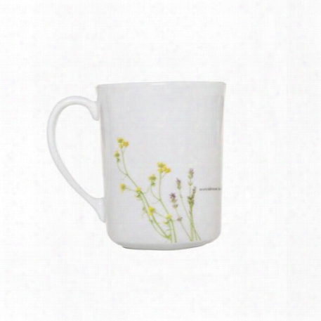 Livingware␞ European Herbs 10-oz Stoneware Mug