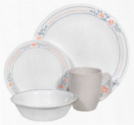 Livingware␞ Apricot Grove 16-pc Dinnerware Set