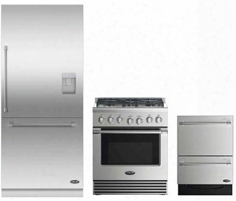 3 Piece Stainless Steel Kitchen Package With Rdv2305n 3o" Gas Freestanding Range Rs36w80ruc1 36"  Built In Refrigerator And Dd24dv2t7 24" Drawers