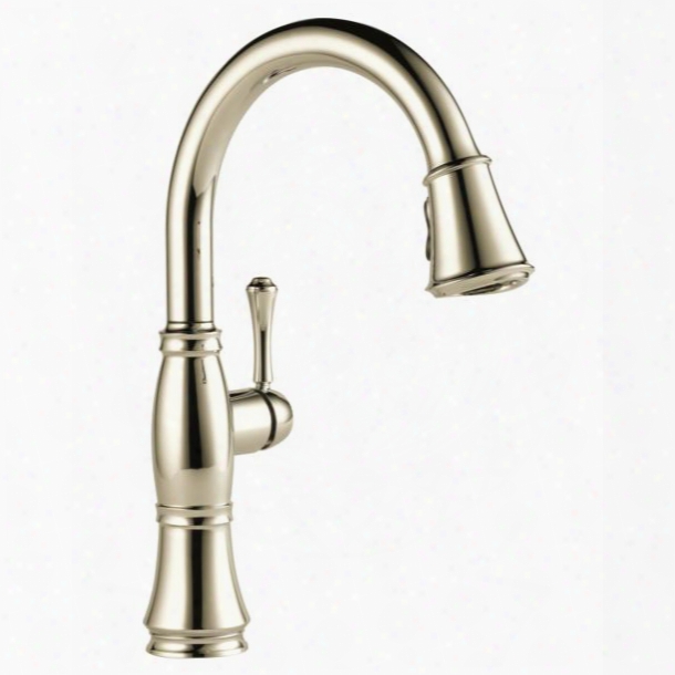 Cassidy 9197-pn-dst Delta Cassidy: Single Handle Pull-down Kitchen Faucet In Polished