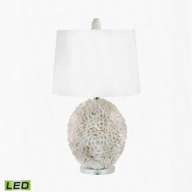 505-led Hand Applied Natural Shells Led Table