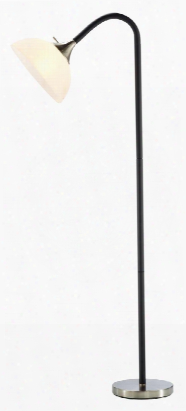 7007-01 Gander Floor Lamp Black Foam