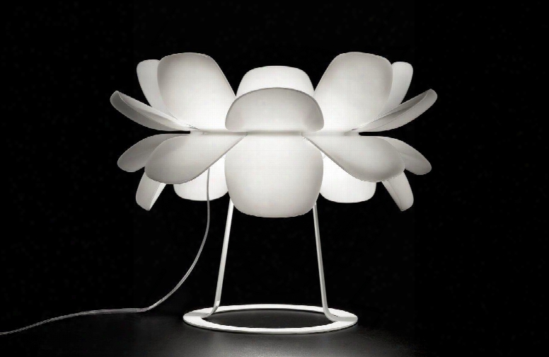 M-5807 White Lacquer Matt Grey Fluorescent (infiore) Table