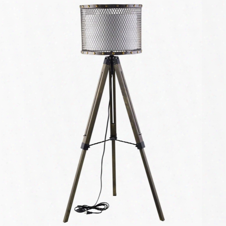 Eei-1571 Fortune Floor Lamp In Antique Silver