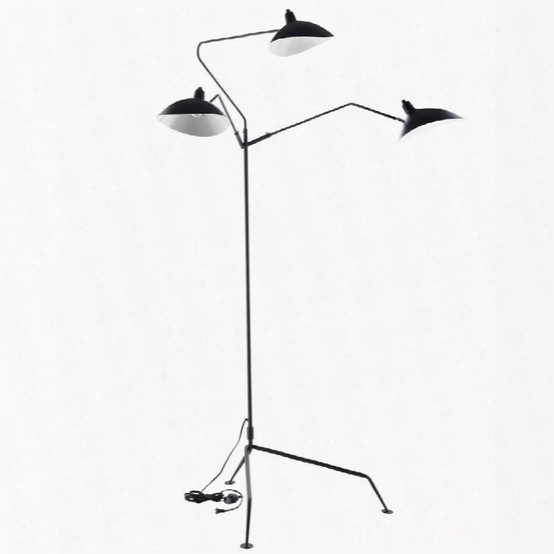 Eei-1593 View Stainless Ste El Floor Lamp In Black