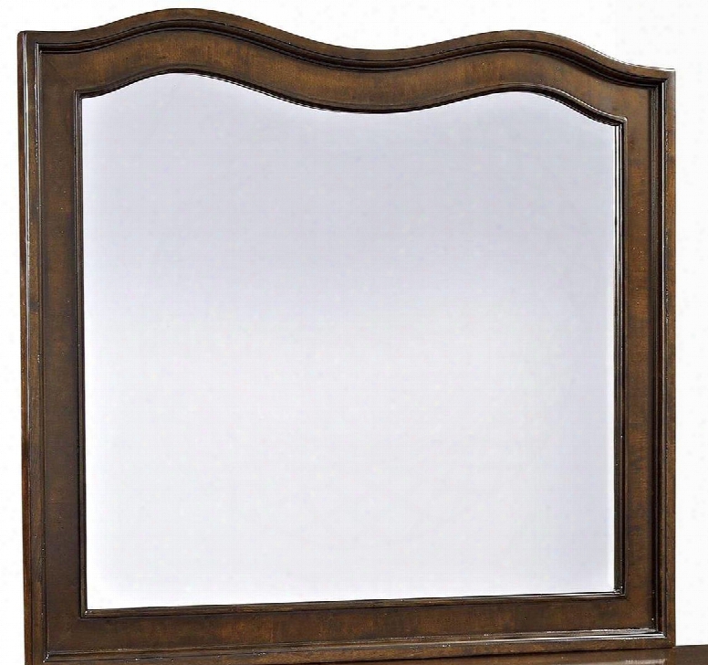 Elaina 4640-237 4" Wide Landscape Mirror With Molding Dteails Beveled Edge And Shaped Imrror Top In Rustic Cherry