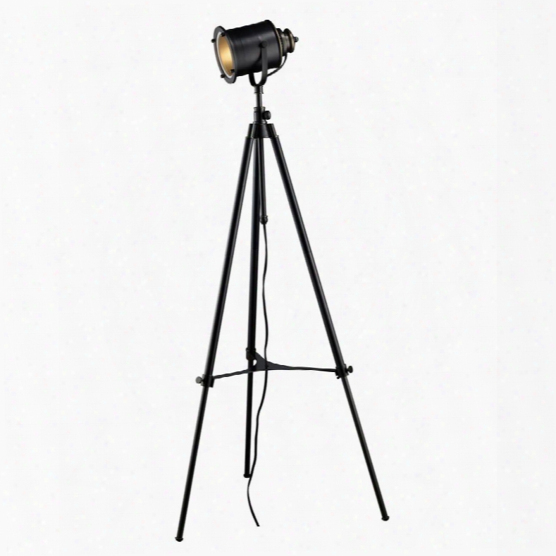 D1735 Ethan Adjustable Tripod Floor Lamp In Restoration