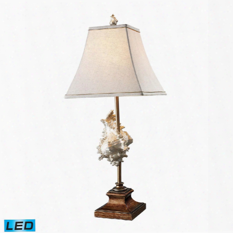 D1979-led Delray Led Table Lamp In Conch Shell And