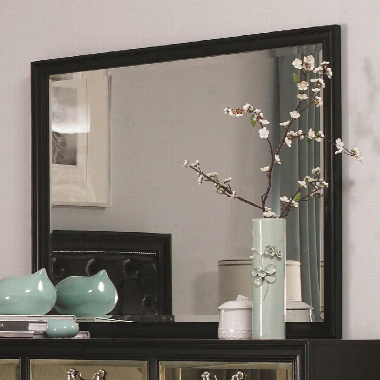 203124 Devine Beveled Mirror With Wood Frame Molding In