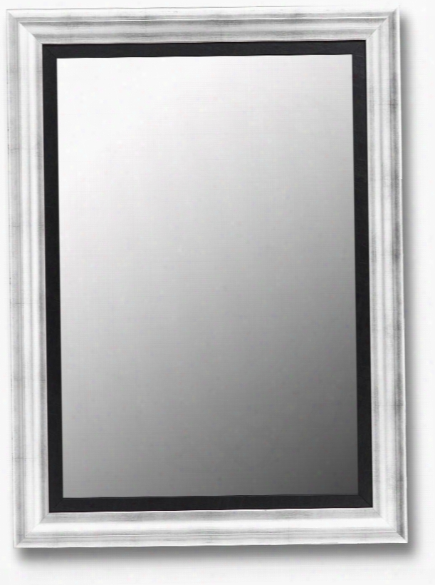 208208 Cameo 31"x 67" Petite Beveled Mirror In Torino Silver With Black