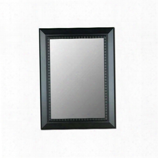 331108 Cameo 32" X 68" Mirror In Oiled Ebony