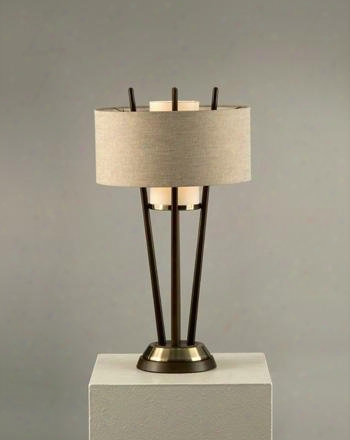 1010178 Veld Table Lamp In Pecan Weathered Brass