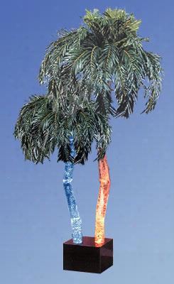 Ap-7d 90" Tropical Aqua Palm Double Floor