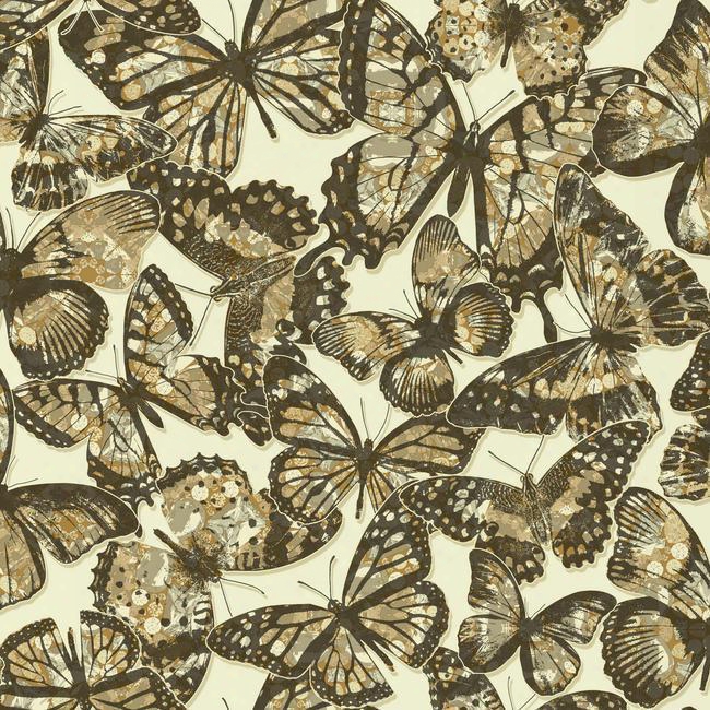 Sample Jeweled Monarch Wallpaper In Light Brown Design By York Wallcoverings