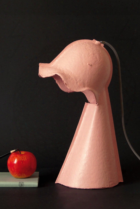 Egg Of Columbus Table Carton Lamp In Pink Design By Seletti