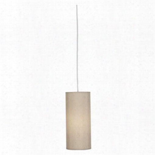 Elena Collection Small Pendant Design By Robert Abbey