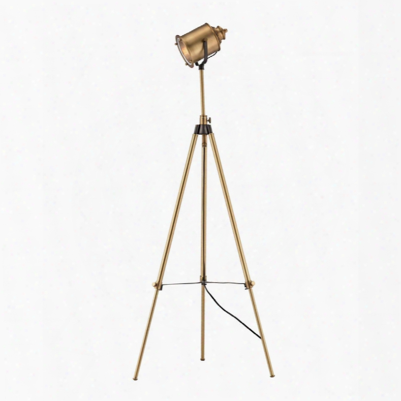 Ethan Floor Lamp In Aged Brass Design By Lazy Susan