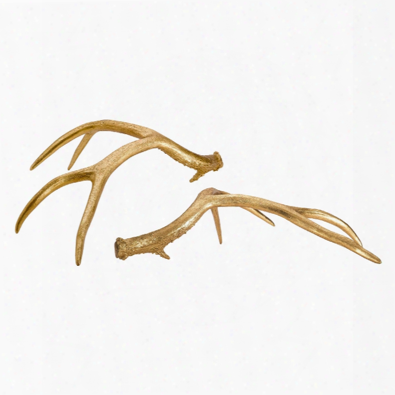 Set Of 2 Golden Antlers Design By Couture Lamps