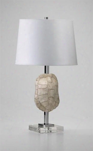 Tortoise Shell Table Lamp Design By Cyan Design