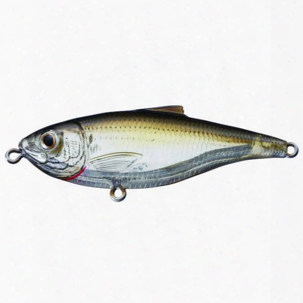 Live Target Lures Scaled Sardine Twitchbait, 3 1/2