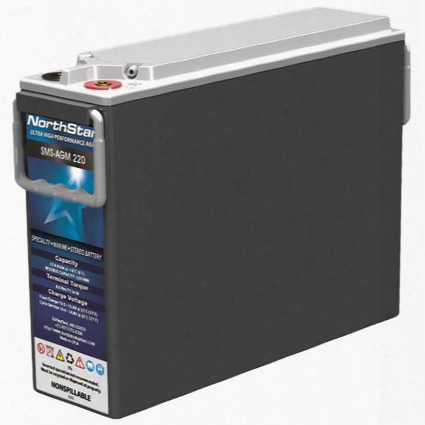 Northstar Battery Specialty Group Thin Plate Pure Lead Agm 220 Battery