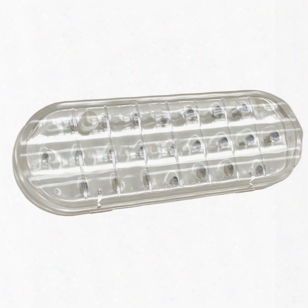 Grote Industries Supernova Oval Dual-system Led Back-up Lamp