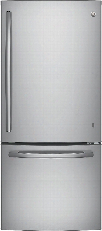 Ge Gbe21dgk 30 Inch Dale Freezer Refrigerator With 20.9 Cu. Ft. Capacity, Led Lighting, 2 Adjustable Shelves, 2 Humidity Controlled Drawers, 4 Door Bins, 1 Freezer Shefl, 1 Freezer Basket And Energy Star Qualified
