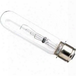 Perko Clear Medium Prefocus Bulb