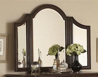 Arbor Place Collection 575-br56 42" X 32" Tri View Vanity Mirror With Beveled Glass And Multi-angle View In Brownstone