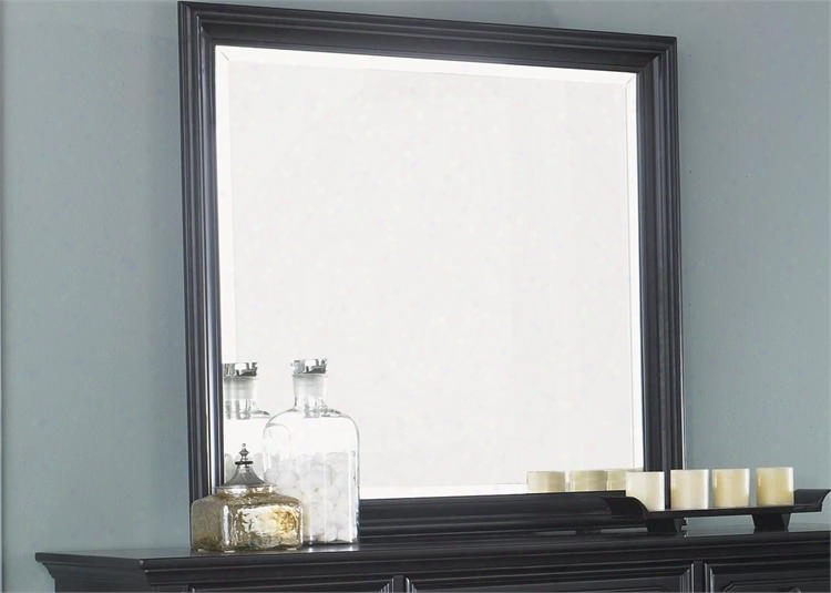 Carrington Ii Collection 917-br51 42" X 40" Mirror With Molding Details And Beveled Glass In Black