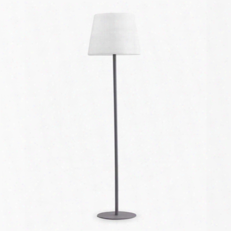 50166 Lumen Floor Lamp