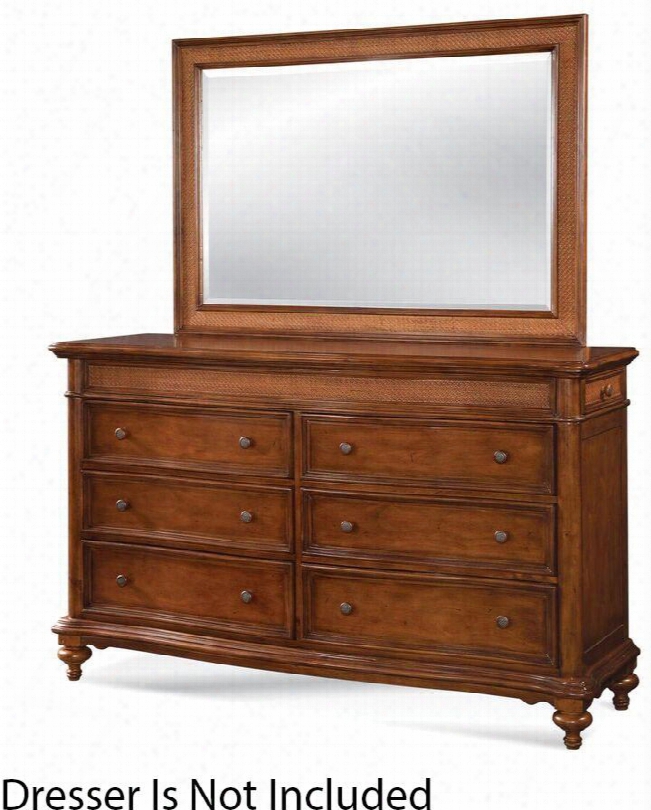 Hudson Bay 6000-040 56" X 39" Mirror With Clean Coastal Lines Beveled Glass And Molding Details In Golden Brown