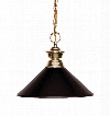 Shark 100701PB-MBRZ 14.25" 1 Light Pendant Novelty Whimsical Billiardhave Steel Frame with Polished Brass finish in