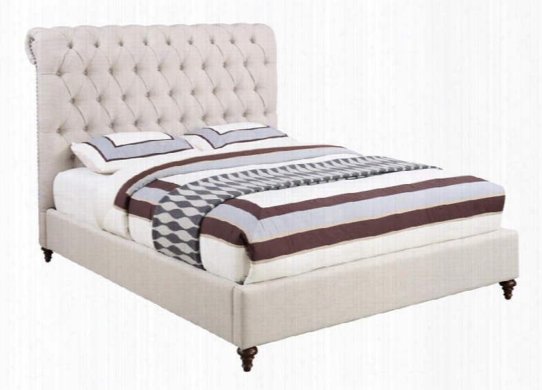 Devon Collection 300525q Queen Size Panel Bed With Diamond Button Tufting Rolled Headboard Bronze Nail Head Trim Cappuccino Turned Legs And Fabric