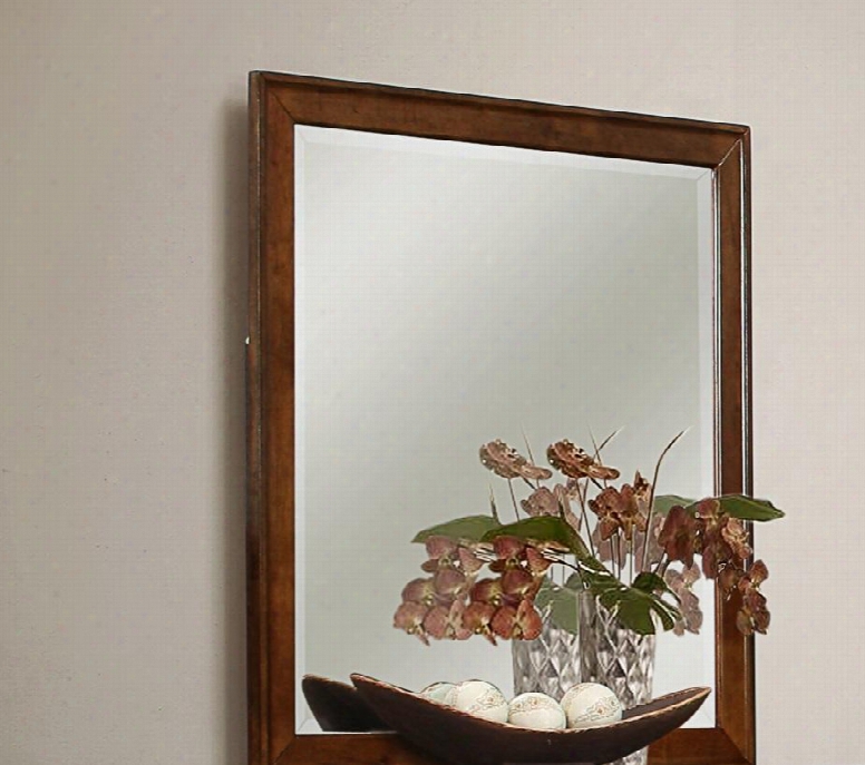 1001-20 Raleigh 38" Tall Mirror With Beveled Edge And Molding Detail In A Brown Wood