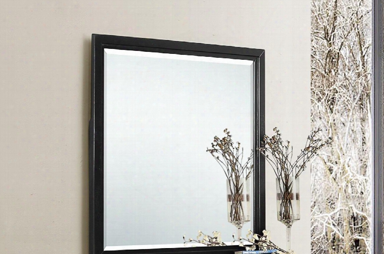 1002-20 Metropolitan 38" Mirror With Beveled Edge And Molding Detail In