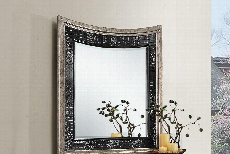 San Juan 1005-20 38w X 40h Mirror With Beveled Edge And Molding Detail In Ebony And