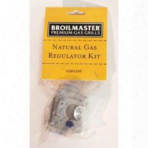 Dpa105 Natural Gas Regulator