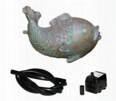 Fsk-01 Fish Spitter Kit With 100gph Pump And