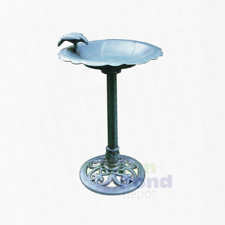 Tec114 Bird Bath/feeder With Bird