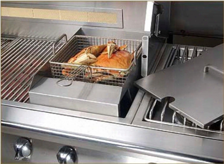 Ag-sf Steamer / Fryer Accessory For Gas Grills With Stainless Steel Construction Includes Steaming Insert And Fry Basket And Matching Stainless Steel Cover