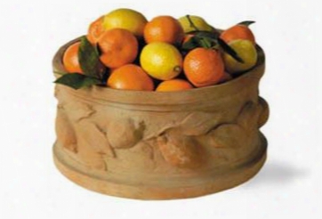 Citrus Tub In Terracotta Finish Design By Capital Garden Products
